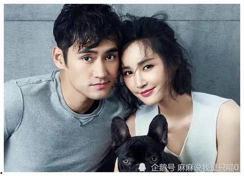 明星爆料娱乐吃瓜君,娱乐圈幕后真相大揭秘！