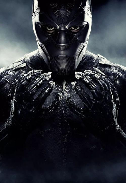 黑豹主演背景,非洲英雄的崛起与荣耀